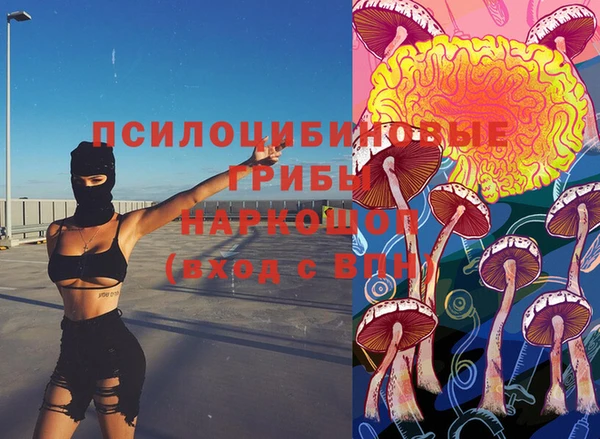 трава Беломорск