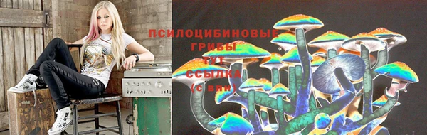 герыч Белокуриха