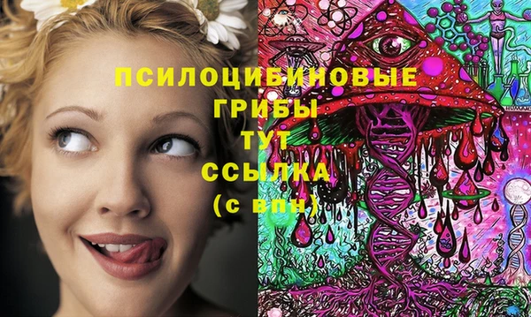 герыч Белокуриха
