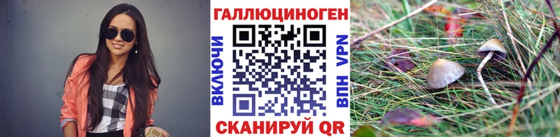 хочу   Ялта  Галлюциногенные грибы MAGIC MUSHROOMS 